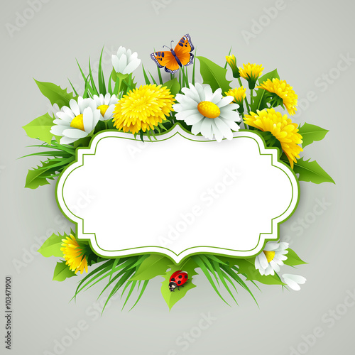Fresh spring background with grass  dandelions and daisies