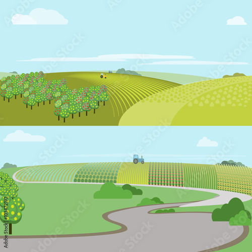 Absract farm field, green landscape vector illustration.