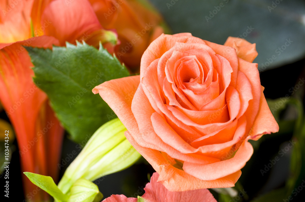 Orange rose in a bouquet.