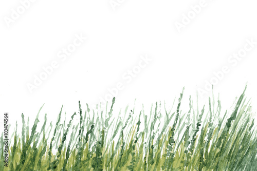 Yellow-green grass in watercolor