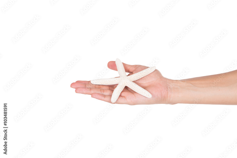 starfishes on woman's hands on white background starfishes on woman's hands on white background