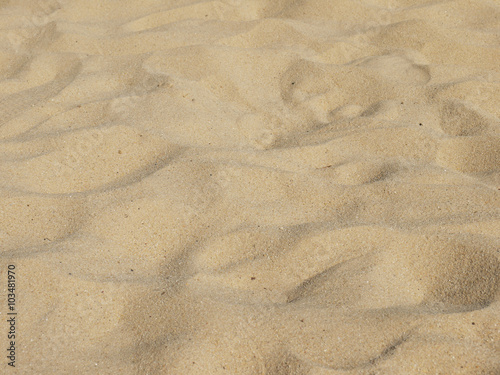 sand on the beach as background