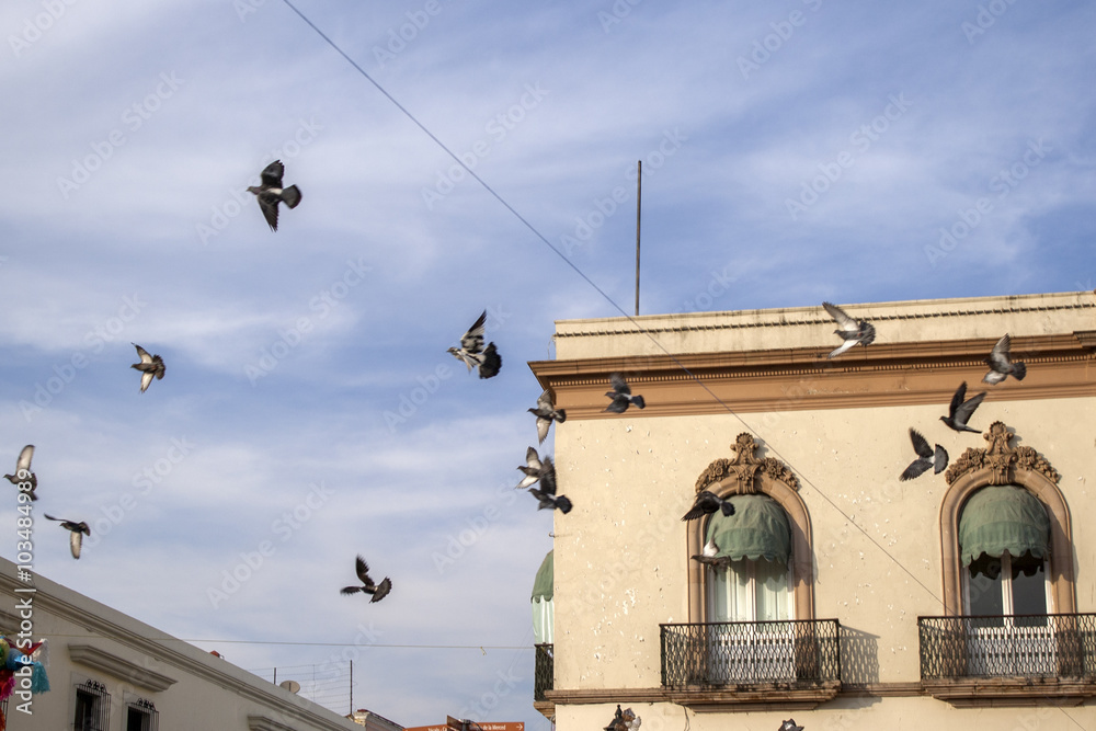 Palomas volando frente a un edificio colonial