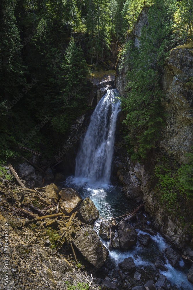 Fototapeta premium Lady Falls, Strathcona Park