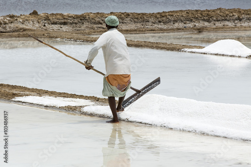 Agriculturist is harvesting salt farm, Pondicherry arera photo