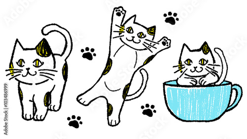 ネコのキャラター