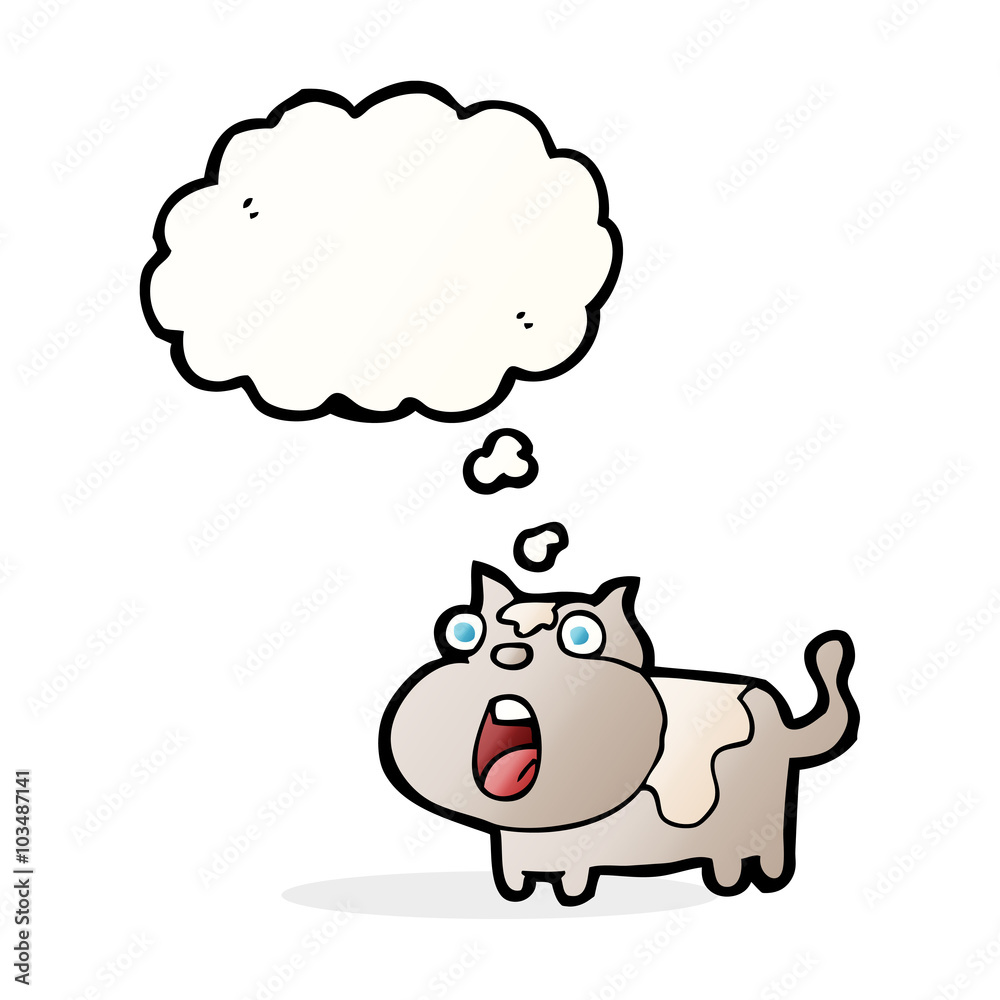 cartoon shocked cat with thought bubble cartoon shocked cat with thought bubble