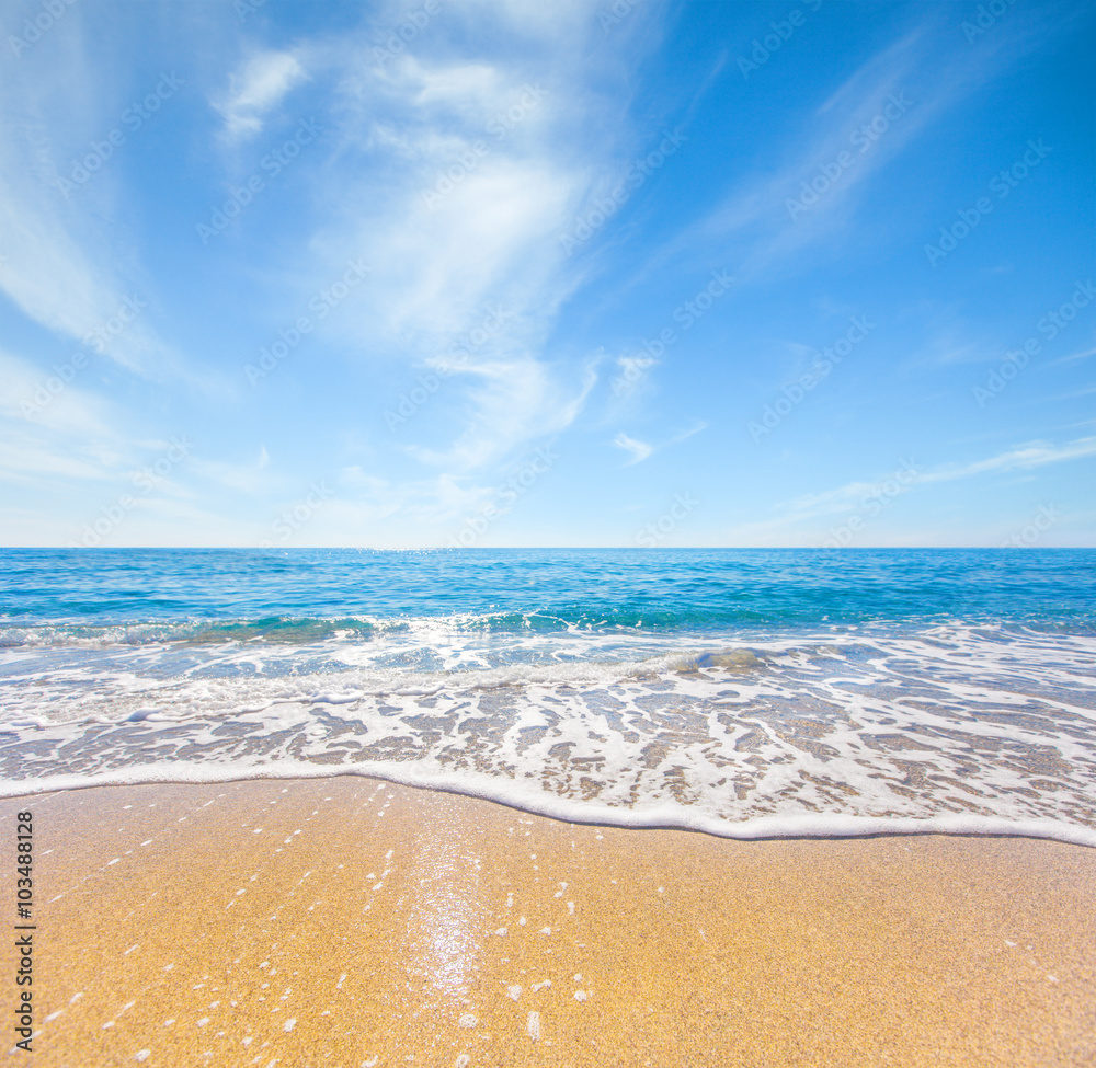 Fototapeta premium beach and tropical sea