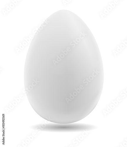 Egg on a white background.