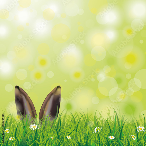 Easter Spring Hare Ears Grass Daisy Flowers
