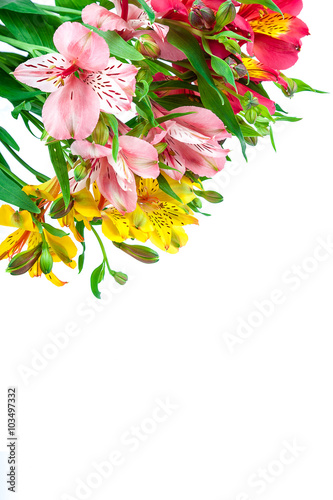 Bouquet of pink, yellow and white lilies.