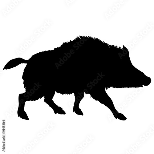 boar silhouette black © smaliars
