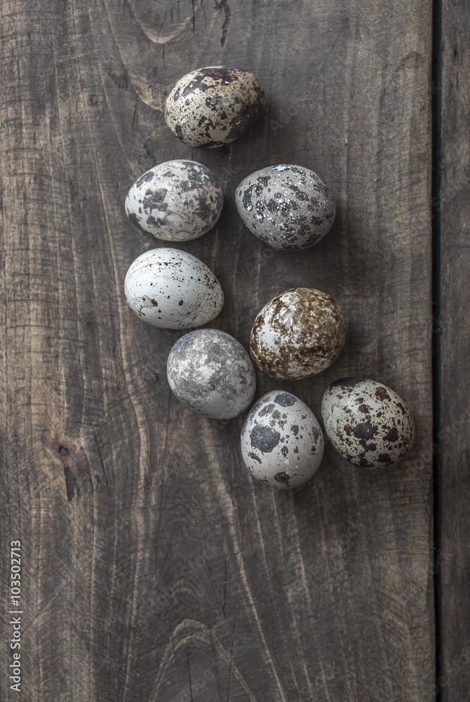 Obraz premium Quail eggs on the table