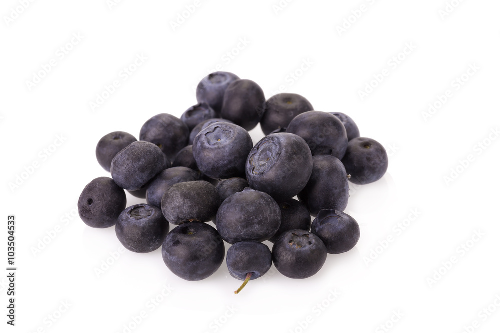 Blueberries on white background Blueberries on white background