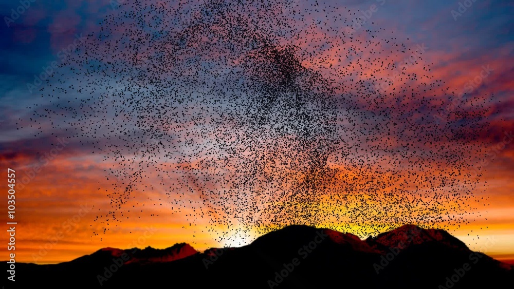 Flock of birds swarming against a sunset sky over mountains
