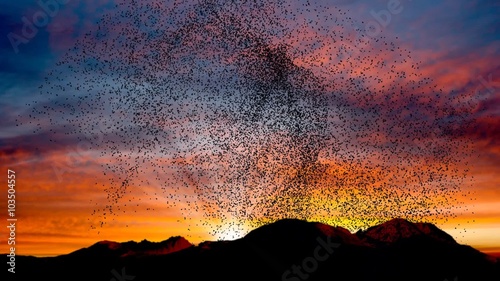 Flock of birds swarming against a sunset sky over mountains