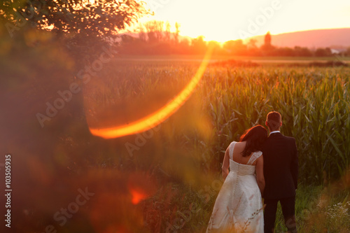 Beautiful bridal couple embracing near cornfield at sunset