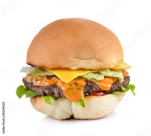 Meat hamburger © sommai