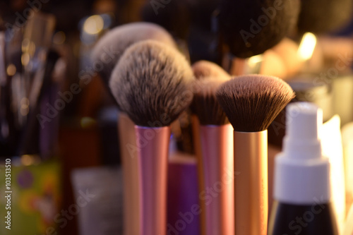 Professional makeup brushes