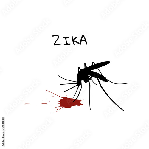 Silhouette mosquito drinking blood on a white background