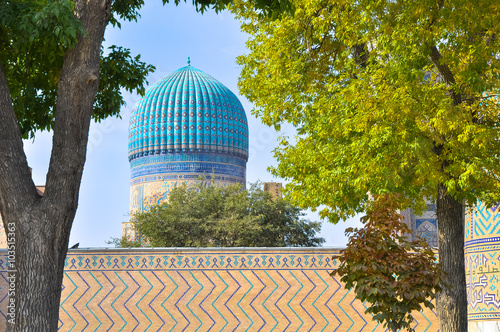 Classic Uzbek mosque dome in a frame of trees