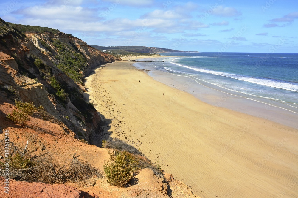 Point Roadknight Beach in Anglesea, Victoria Point Roadknight Beach in Anglesea, Victoria