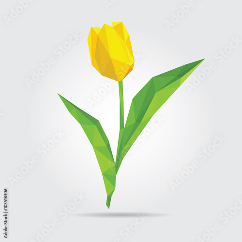 Fototapeta Naklejka Na Ścianę i Meble -  Polygonal Flower Tulip. Yellow Tulip in Vector