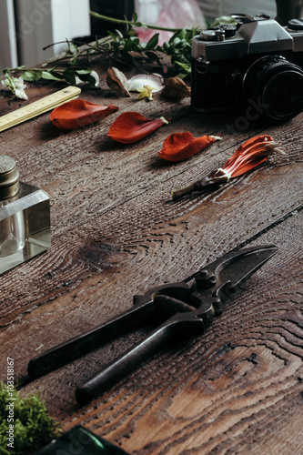 Natural ingredients on old wooden desk
