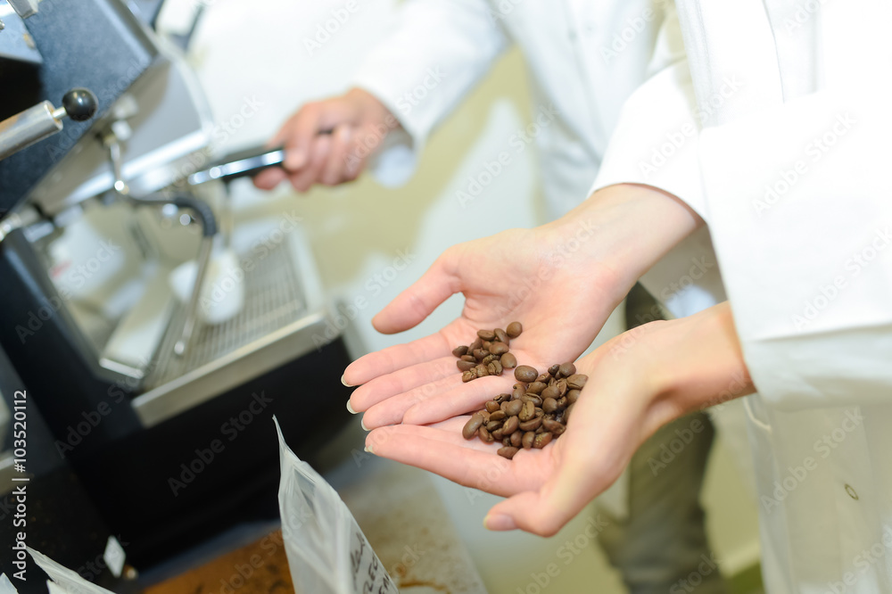 Obraz premium Coffee beans held in palm of woman's hand