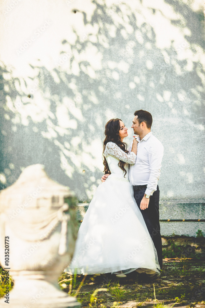 stylish gorgeous happy brunette bride  and elegant groom on the