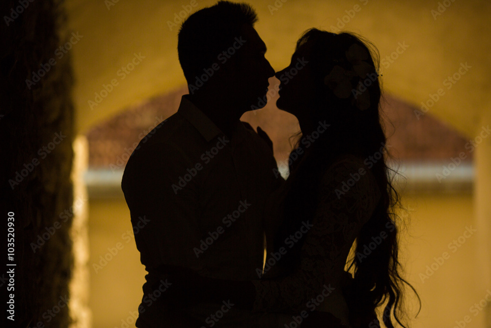 silhouette of stylish gorgeous happy brunette bride and elegant