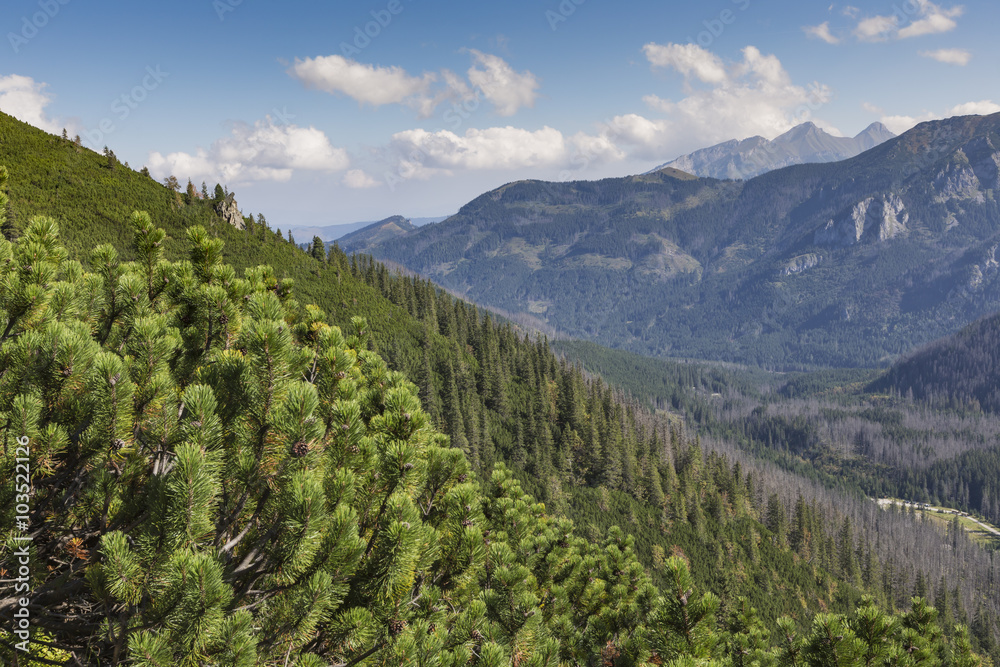 Poland - Tatra National Park in Tatra Mountains, part of Carpath Poland - Tatra National Park in Tatra Mountains, part of Carpath