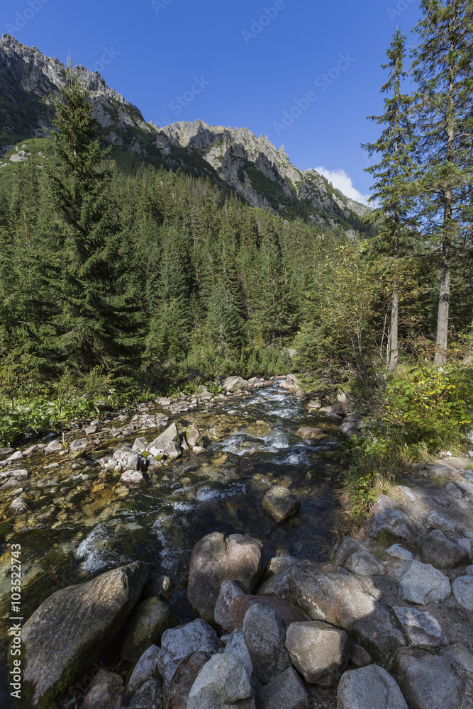 Obraz premium Roztoka Stream in Roztoka Valley. Tatra National Park. High Tatr