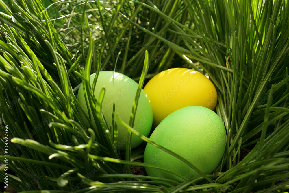 Painted easter eggs in grass/ easter hunt