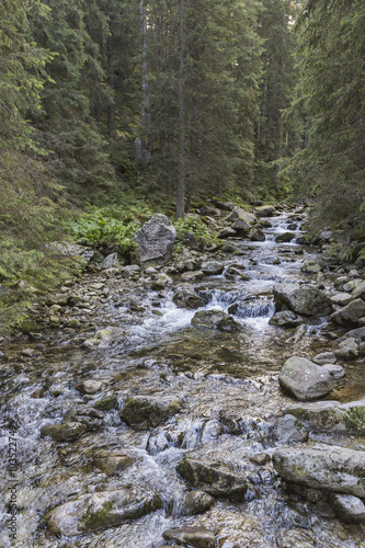 Roztoka Stream in Roztoka Valley. Tatra National Park. High Tatr
