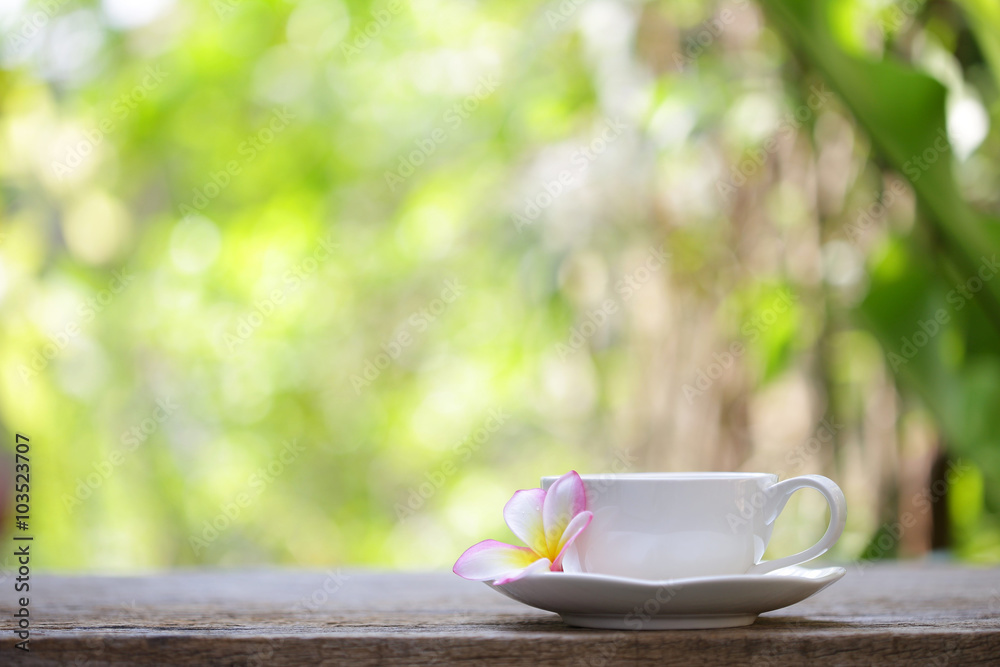 white cup and frangipani flower at outdoor