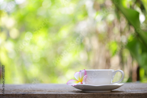 white cup and frangipani flower at outdoor