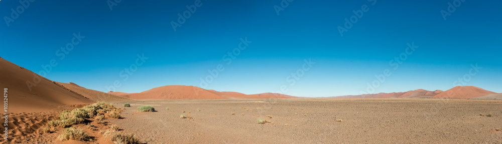 Namib Desert (near Sossusvlei)