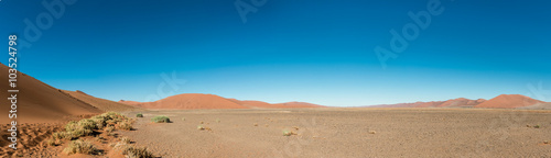 Namib Desert  near Sossusvlei 