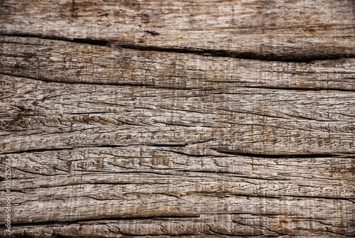  Texture - a bark of an Tree