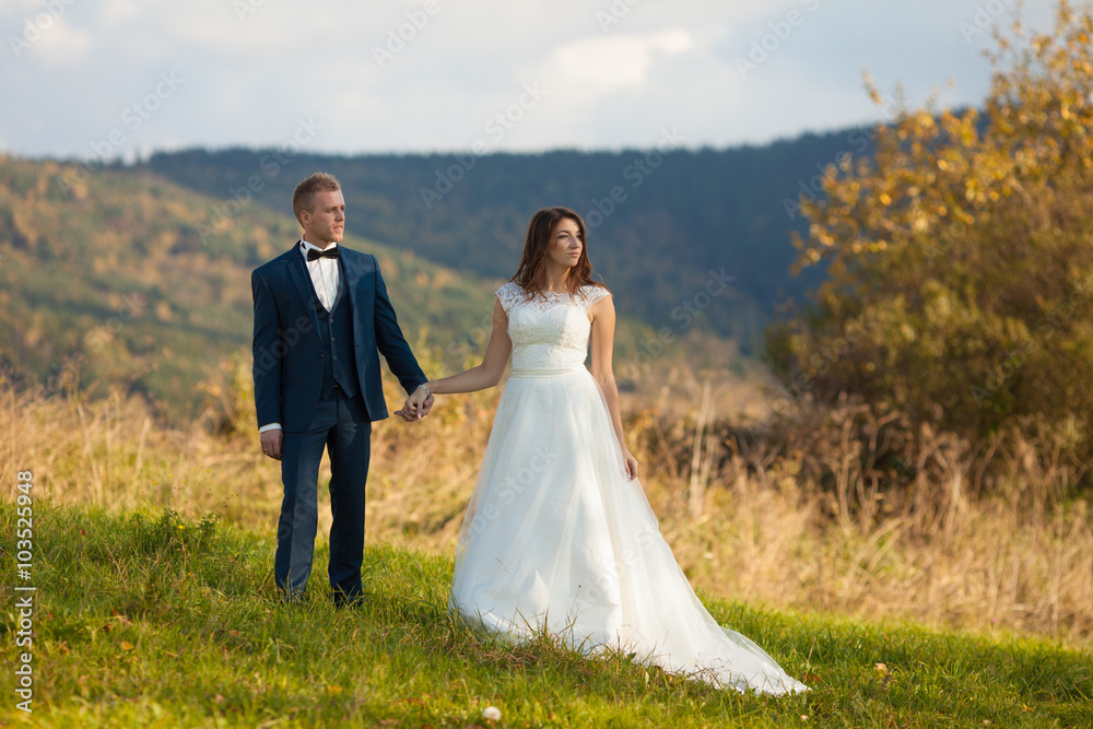 elegant stylish happy brunette bride and gorgeous groom  on the