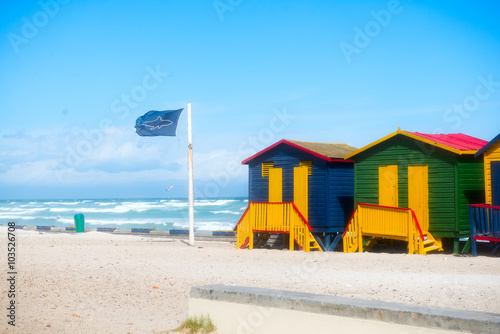 A flag indicating danger from sharks  © Artwell