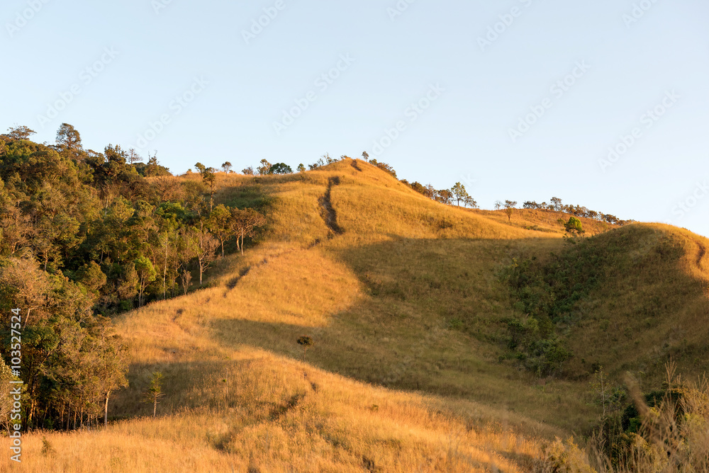 The path for trail runing and walking on mountain ridge, Beautif