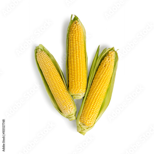 Fresh corn with green leaves isolated on white background