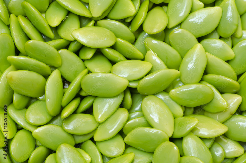 Green Seed White Popinac background Green Seed White Popinac background