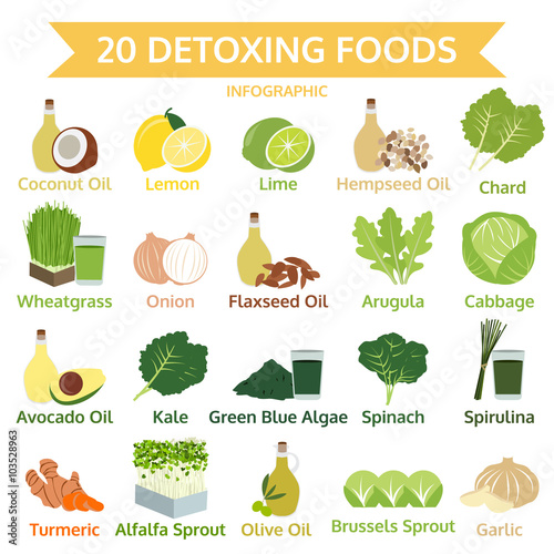 twenty detoxing foods, info graphic flat food, vector