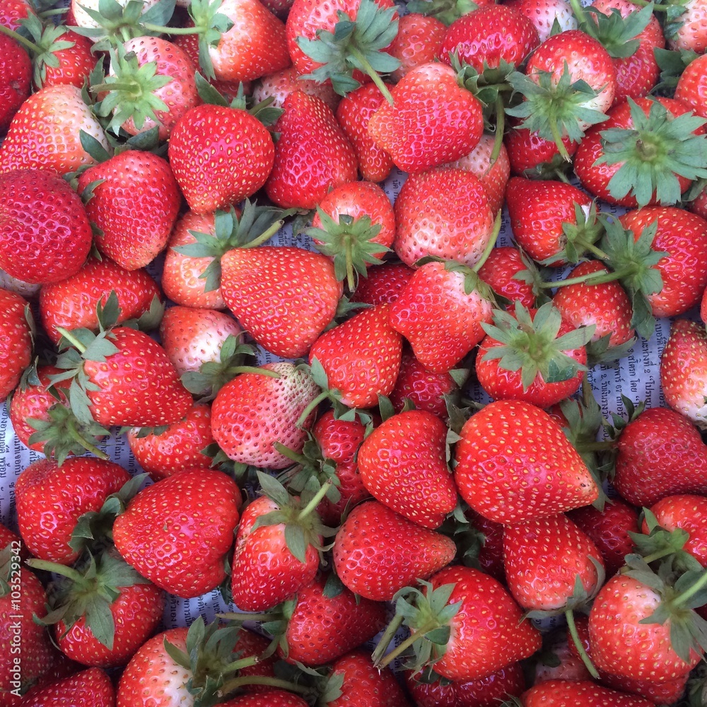 Strawberries lover Strawberries lover