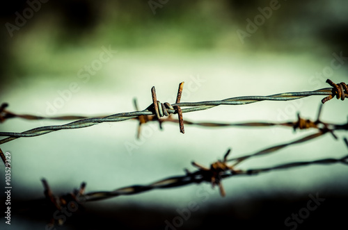 barbed wire fence