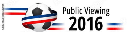 Public Viewing 2016 