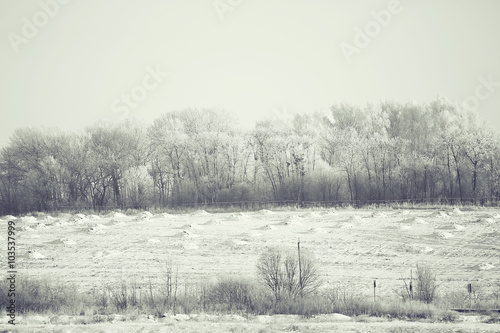 black white winter frost nature background © kichigin19